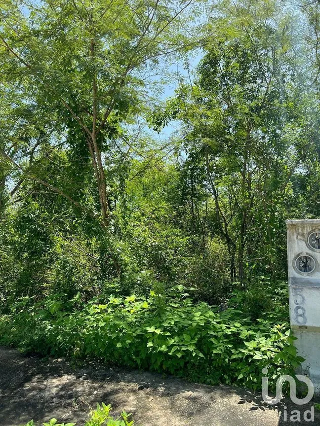 Terreno en Venta en Yaxkukul, Yaxkukul, Yucatán | NEX-232560 | iad México | Foto 5 de 32
