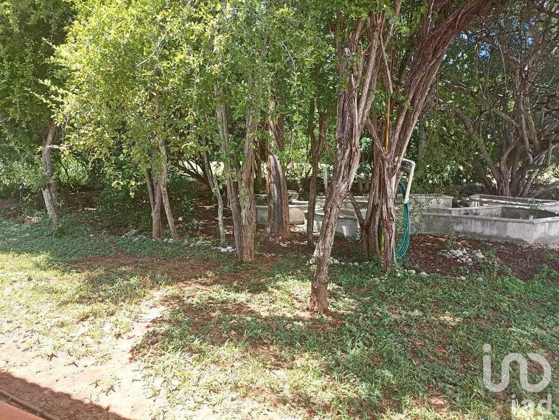 Casa en Venta en La Ceiba, Mérida, Yucatán | NEX-271284 | iad México | Foto 25 de 33