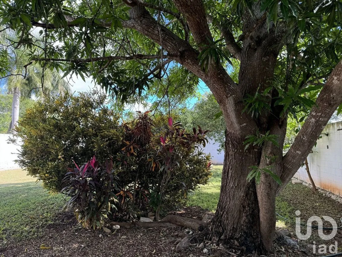 Terreno en Venta en Dzityá, Mérida, Yucatán | NEX-271616 | iad México | Foto 4 de 21
