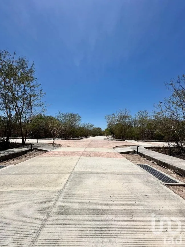 Terreno en Venta en Conkal, Conkal, Yucatán | NEX-271635 | iad México | Foto 16 de 26