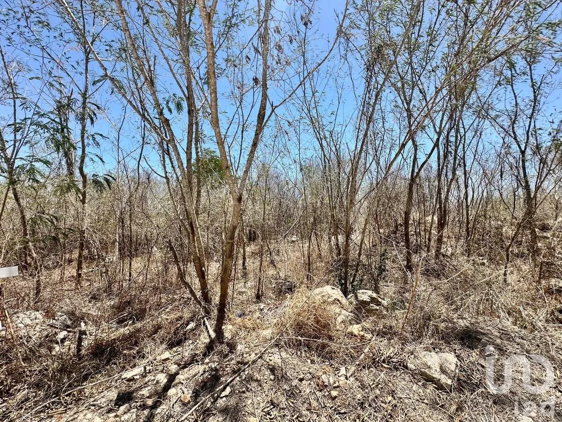 Terreno en Venta en Conkal, Conkal, Yucatán | NEX-271635 | iad México | Foto 18 de 26