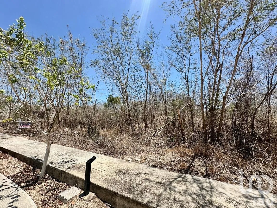 Terreno en Venta en Conkal, Conkal, Yucatán | NEX-271635 | iad México | Foto 19 de 26