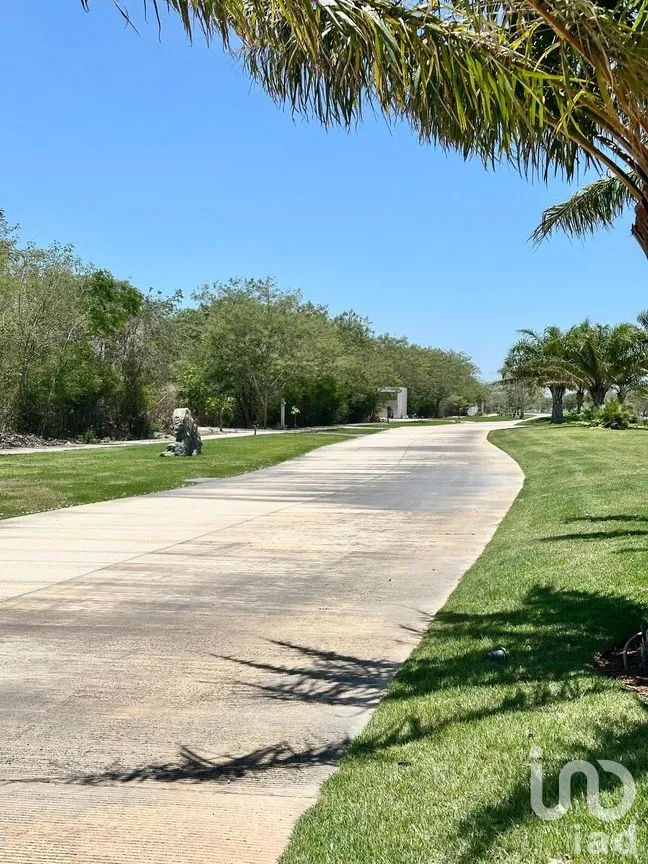 Terreno en Venta en Conkal, Conkal, Yucatán | NEX-271635 | iad México | Foto 21 de 26