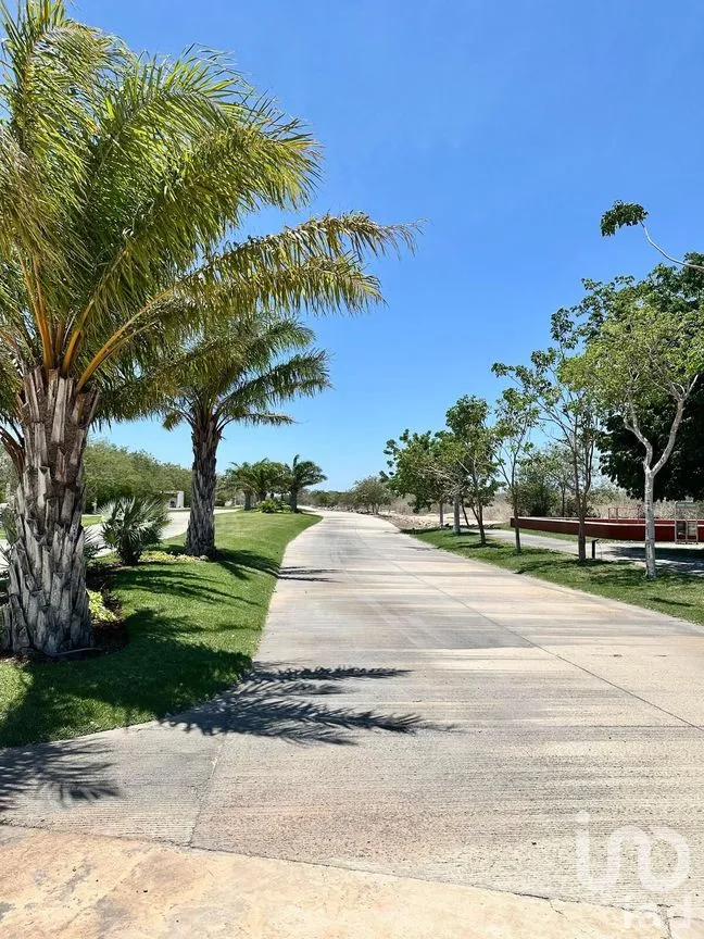 Terreno en Venta en Conkal, Conkal, Yucatán | NEX-271635 | iad México | Foto 23 de 26