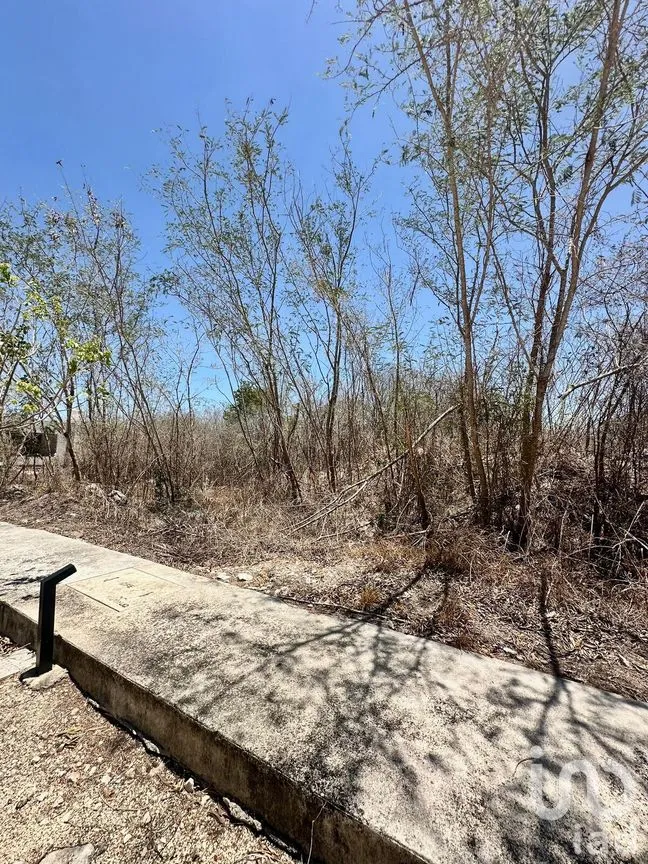 Terreno en Venta en Conkal, Conkal, Yucatán | NEX-271635 | iad México | Foto 24 de 26
