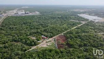 NEX-271800 - Terreno en Venta en Teya, CP 97374, Yucatán.