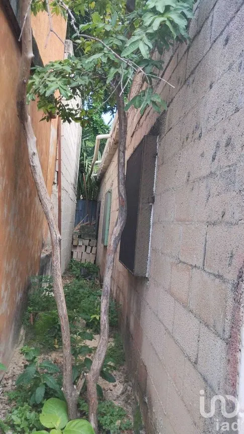 Casa en Venta en Mérida Centro, Mérida, Yucatán | NEX-272035 | iad México | Foto 7 de 11