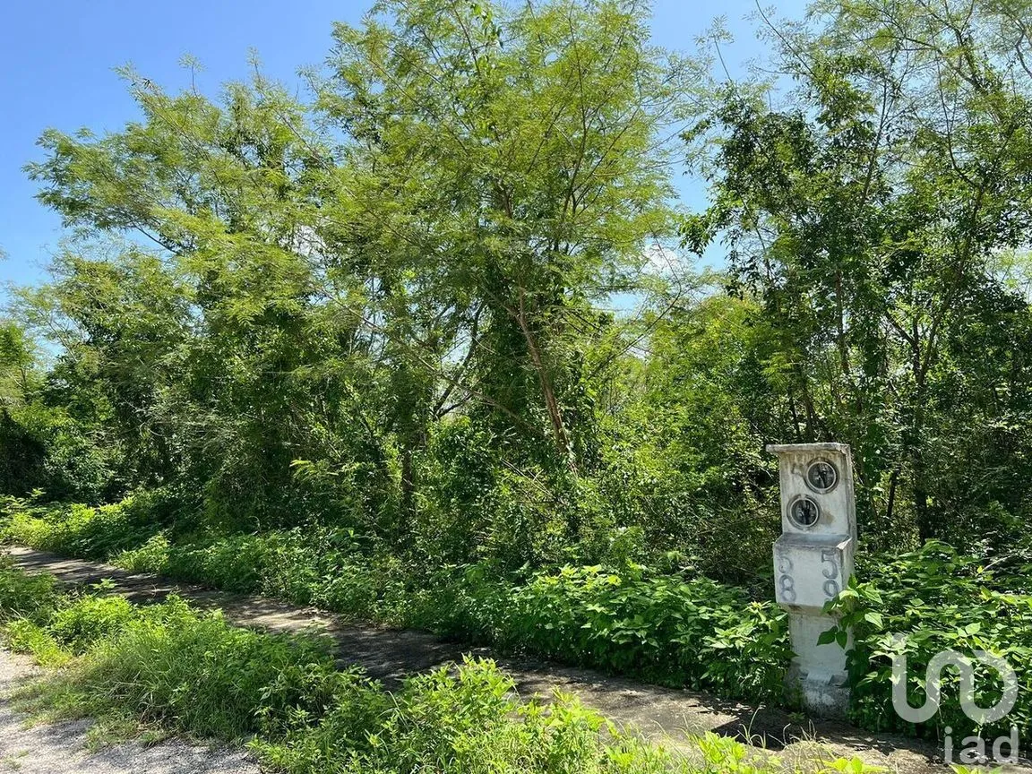 Terreno en Venta en Yaxkukul, Yaxkukul, Yucatán | NEX-272489 | iad México | Foto 4 de 12