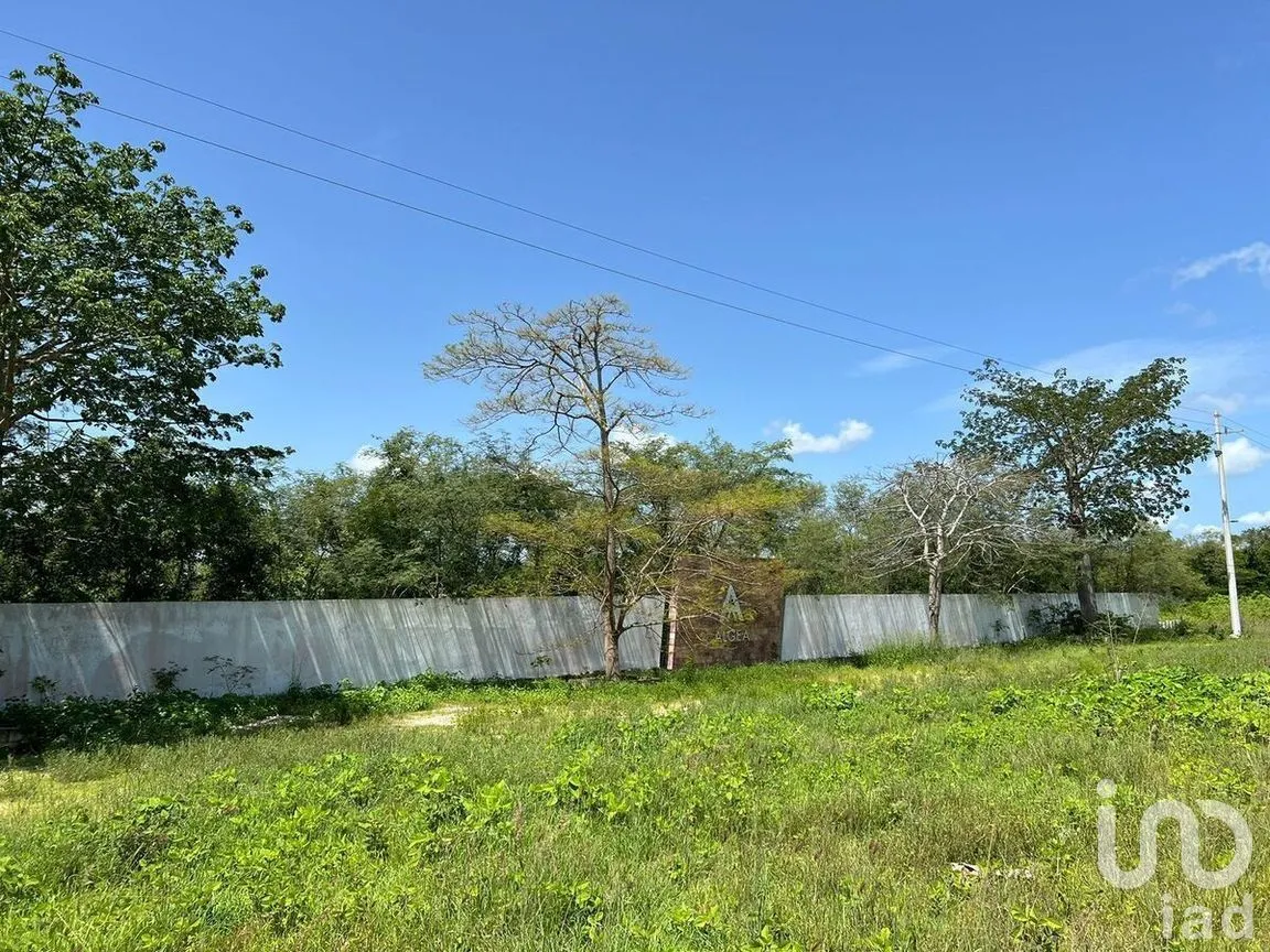 Terreno en Venta en Yaxkukul, Yaxkukul, Yucatán | NEX-272489 | iad México | Foto 5 de 12