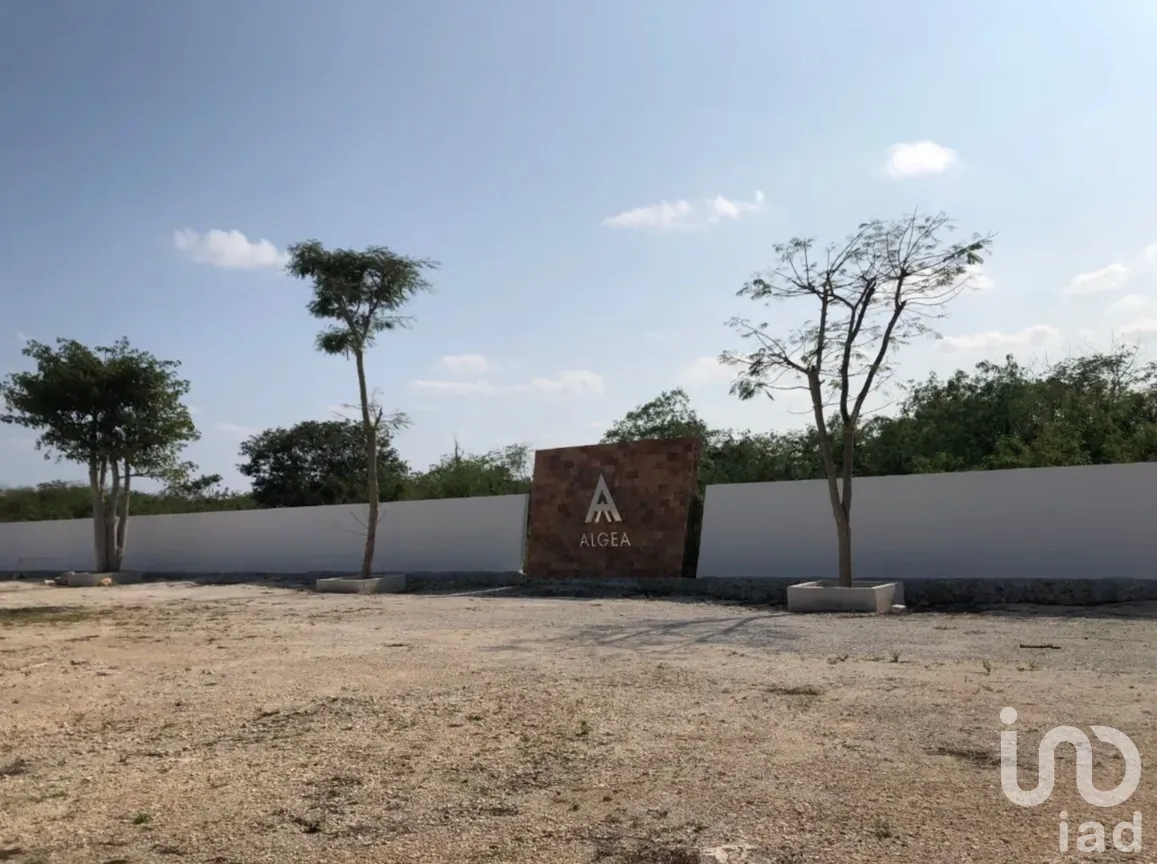 Terreno en Venta en Yaxkukul, Yaxkukul, Yucatán | NEX-272489 | iad México | Foto 6 de 12