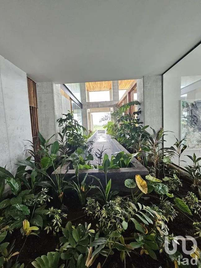 Departamento en Venta en Santa Gertrudis Copo, Mérida, Yucatán | NEX-272522 | iad México | Foto 9 de 21