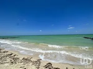 NEX-273755 - Terreno en Venta en Chuburna Puerto, CP 97336, Yucatán.