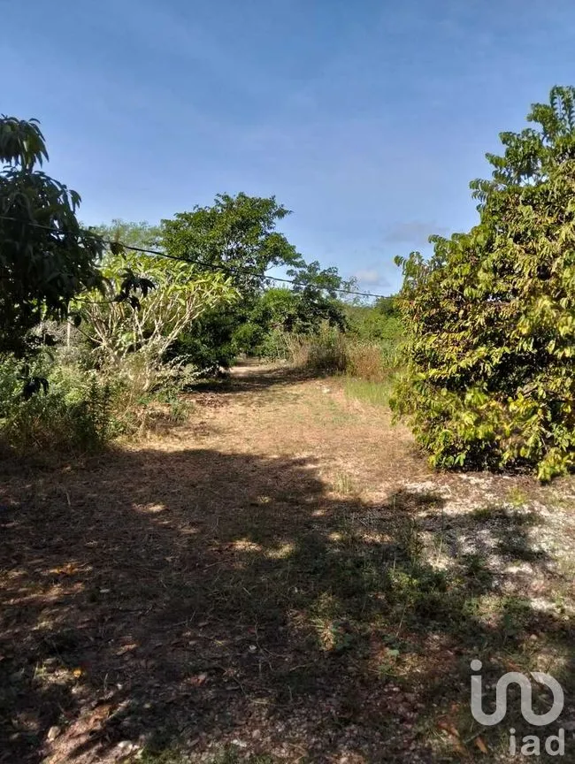 Terreno en Venta en Acanceh, Acanceh, Yucatán | NEX-278062 | iad México | Foto 2 de 10