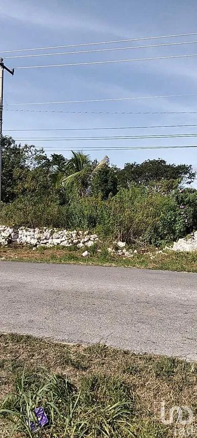 Terreno en Venta en Acanceh, Acanceh, Yucatán | NEX-278062 | iad México | Foto 5 de 10