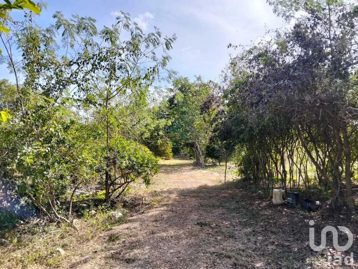 Terreno en Venta en Acanceh, Acanceh, Yucatán | NEX-278062 | iad México | Foto 7 de 10