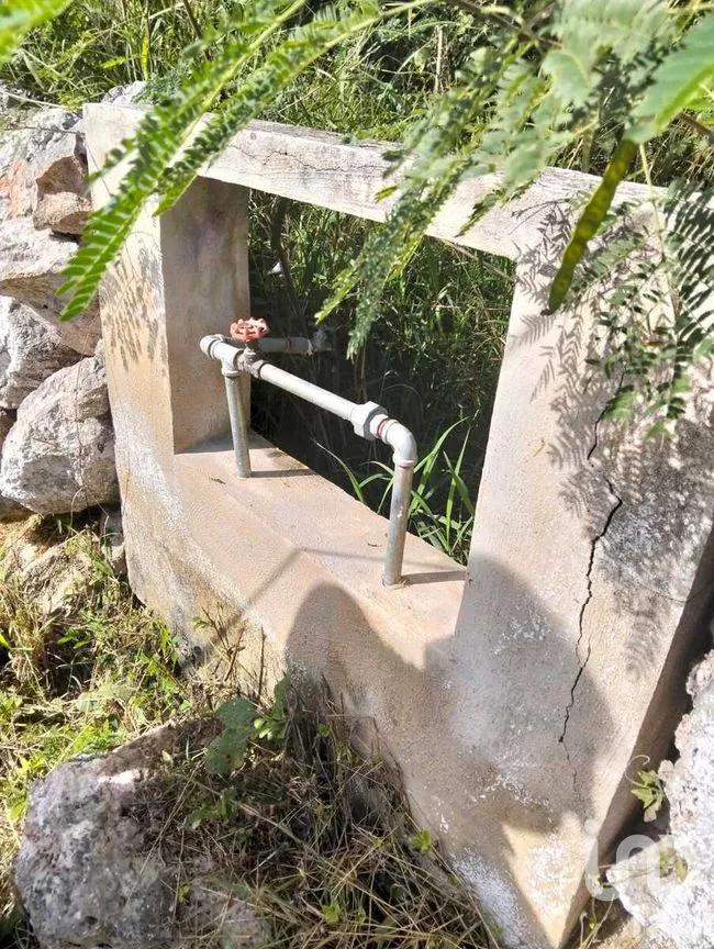Terreno en Venta en Acanceh, Acanceh, Yucatán | NEX-278062 | iad México | Foto 9 de 10