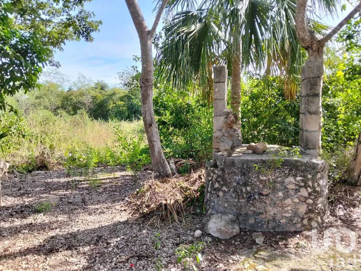 Terreno en Venta en Acanceh, Acanceh, Yucatán | NEX-278062 | iad México | Foto 1 de 10