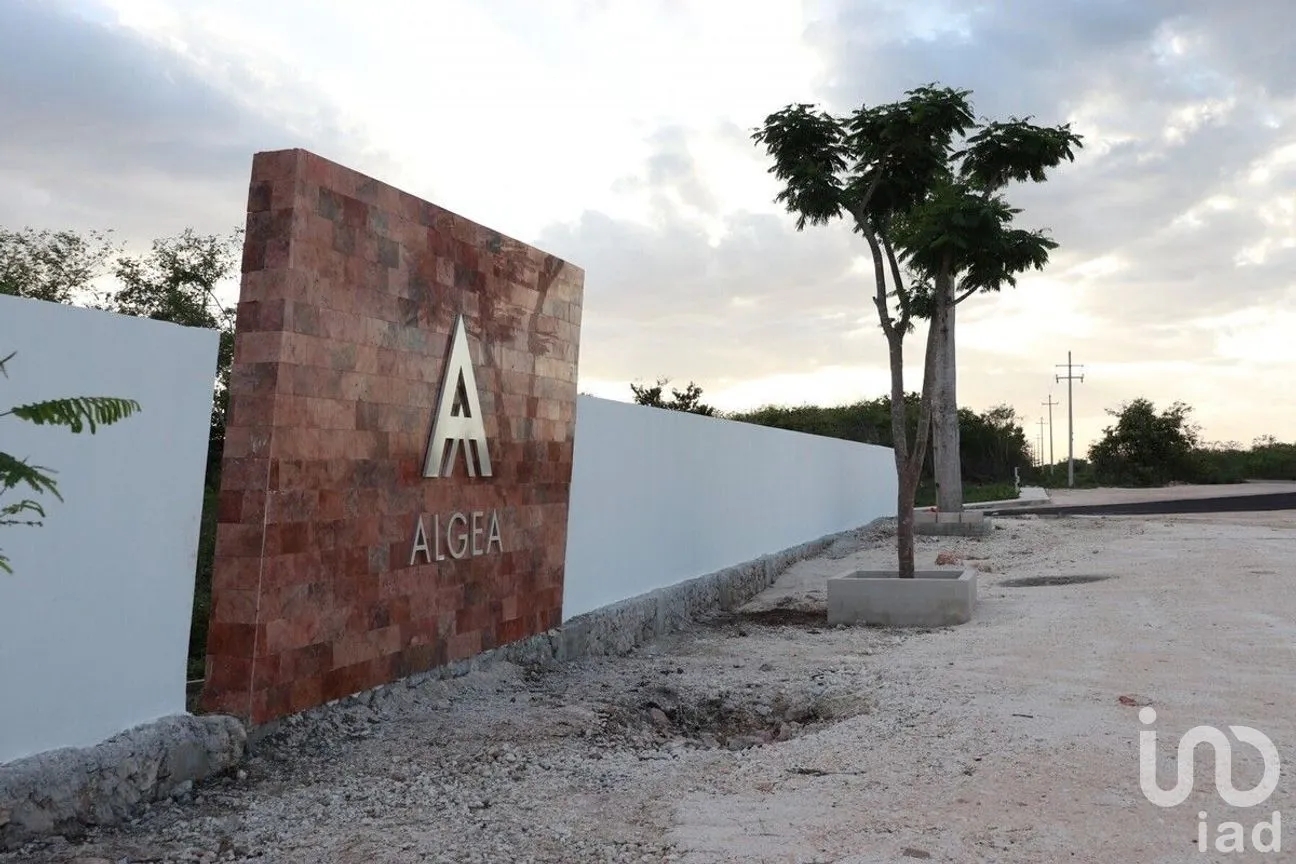 Terreno en Venta en Yaxkukul, Yaxkukul, Yucatán | NEX-284113 | iad México | Foto 5 de 15