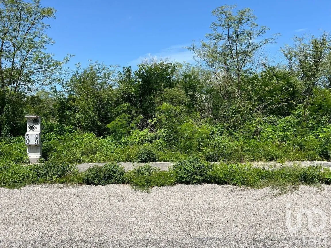 Terreno en Venta en Yaxkukul, Yaxkukul, Yucatán | NEX-284113 | iad México | Foto 6 de 15