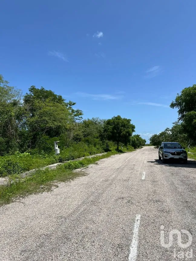 Terreno en Venta en Yaxkukul, Yaxkukul, Yucatán | NEX-284113 | iad México | Foto 10 de 15