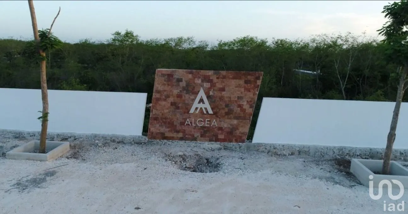 Terreno en Venta en Yaxkukul, Yaxkukul, Yucatán | NEX-284114 | iad México | Foto 18 de 32