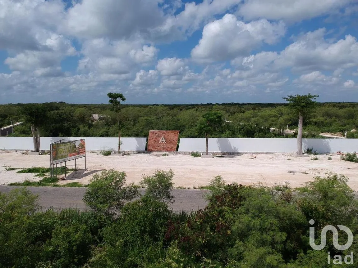 Terreno en Venta en Yaxkukul, Yaxkukul, Yucatán | NEX-284114 | iad México | Foto 20 de 32