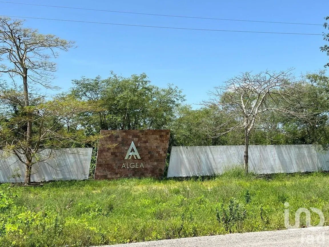 Terreno en Venta en Yaxkukul, Yaxkukul, Yucatán | NEX-284114 | iad México | Foto 30 de 32