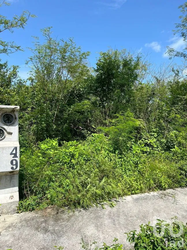 Terreno en Venta en Yaxkukul, Yaxkukul, Yucatán | NEX-284114 | iad México | Foto 9 de 32