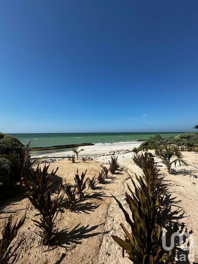 Departamento en Venta en Chicxulub Puerto, Progreso, Yucatán | NEX-284121 | iad México | Foto 24 de 30