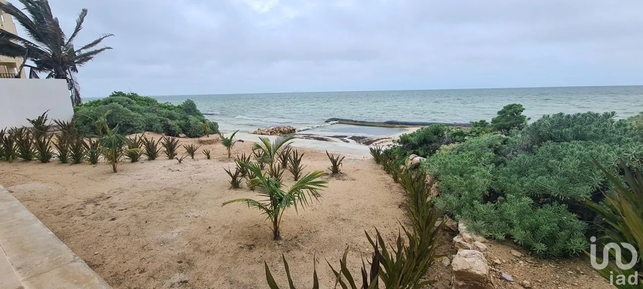 Departamento en Venta en Chicxulub Puerto, Progreso, Yucatán | NEX-284124 | iad México | Foto 43 de 47