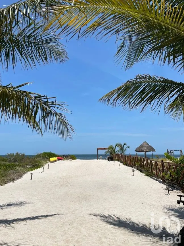 Casa en Venta en San Crisanto, Sinanché, Yucatán | NEX-284138 | iad México | Foto 44 de 46