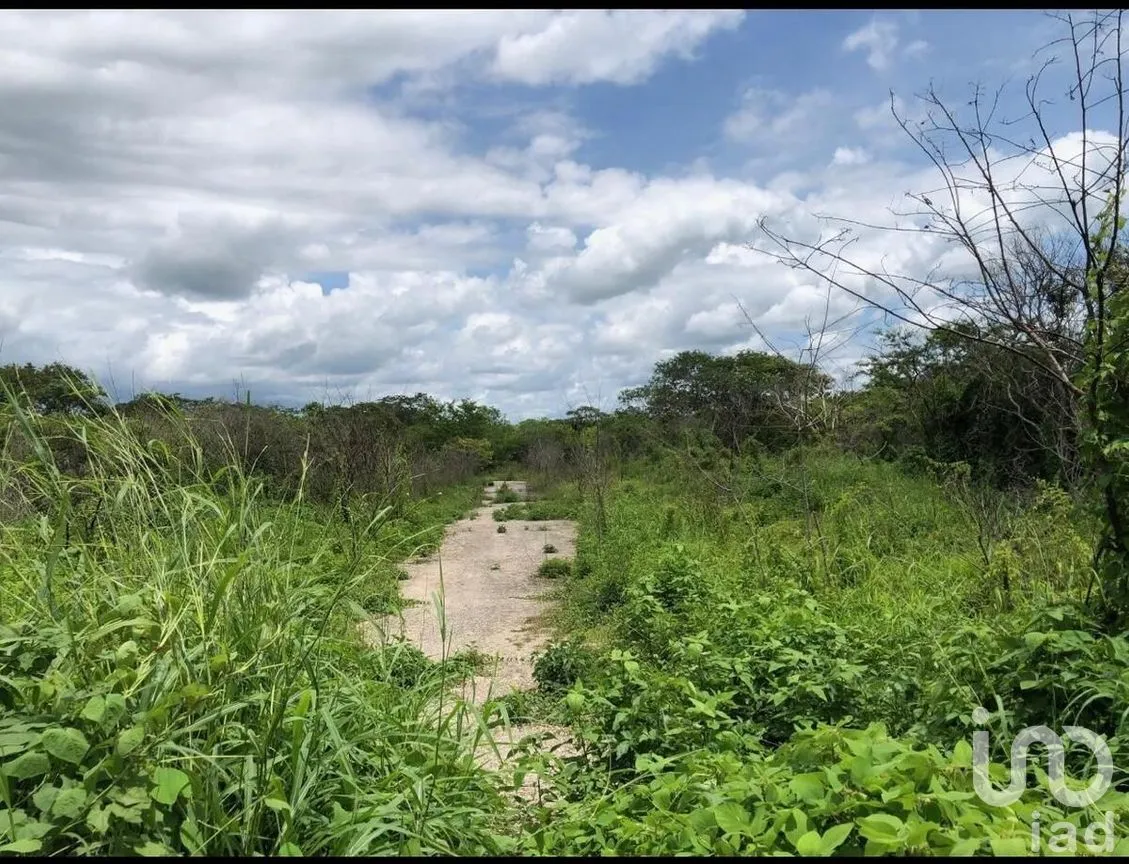Terreno en Venta en Conkal, Conkal, Yucatán | NEX-284161 | iad México | Foto 2 de 6