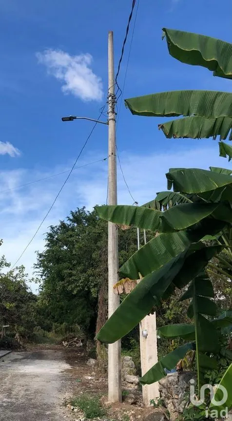 Terreno en Venta en Motul de Carrillo Puerto Centro, Motul, Yucatán | NEX-284162 | iad México | Foto 5 de 5