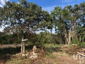 NEX-284162 - Terreno en Venta en Motul de Carrillo Puerto Centro, CP 97430, Yucatán.