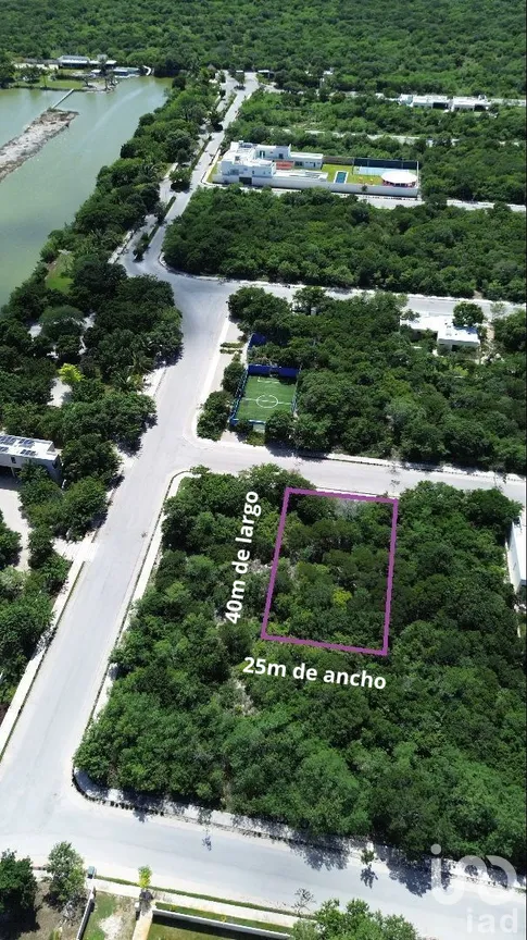 Terreno en Venta en Dzidzilché, Mérida, Yucatán | NEX-284183 | iad México | Foto 2 de 15