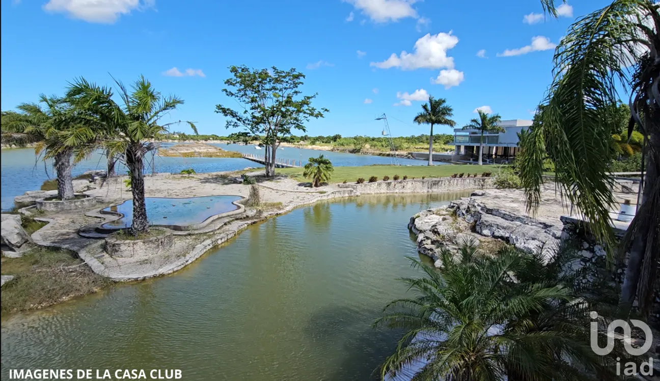 Terreno en Venta en Dzidzilché, Mérida, Yucatán | NEX-284183 | iad México | Foto 5 de 15