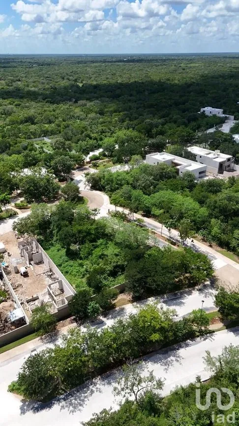 Terreno en Venta en Tamanché, Mérida, Yucatán | NEX-284256 | iad México | Foto 3 de 17