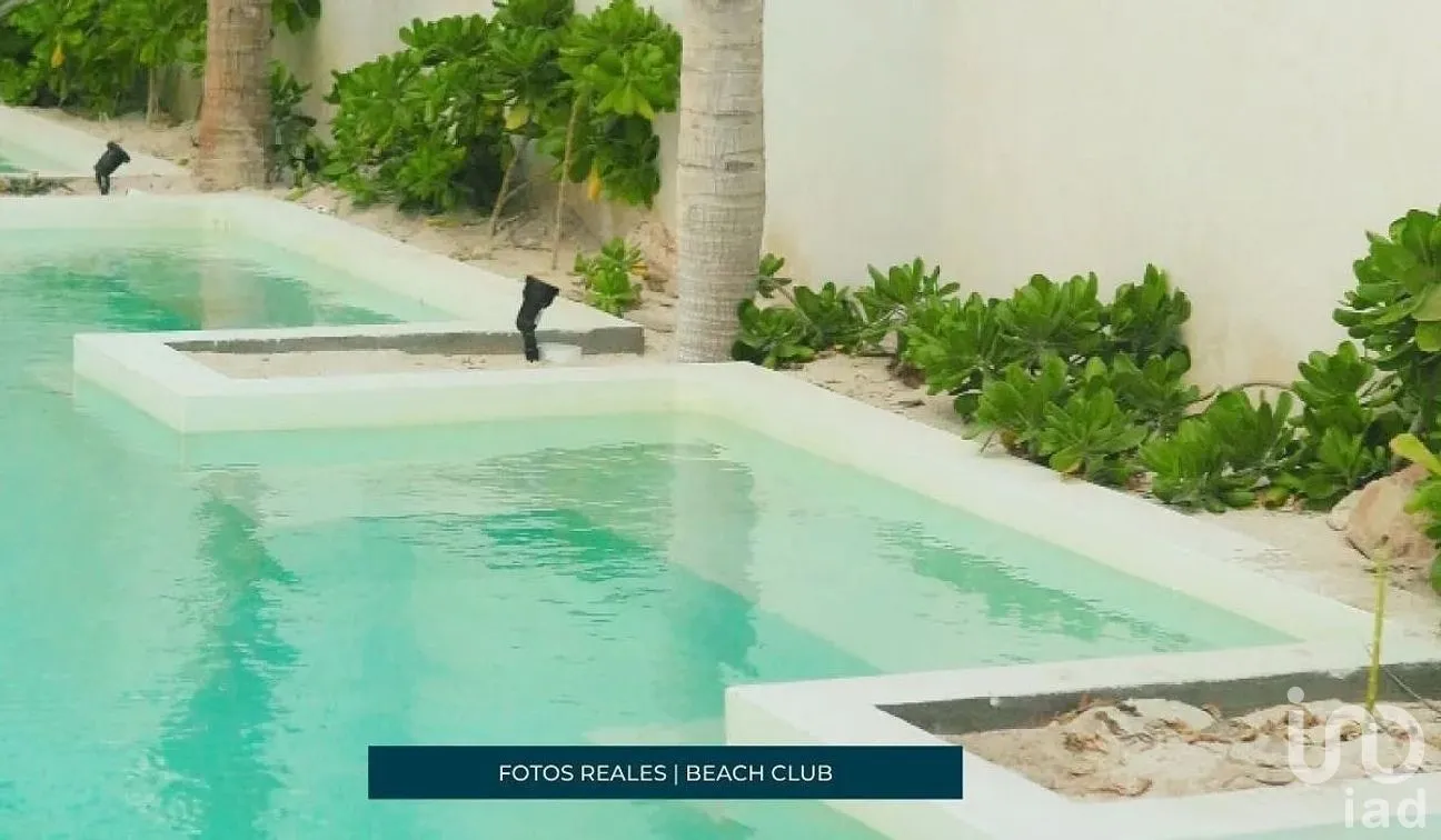 Terreno en Venta en Chicxulub Puerto, Progreso, Yucatán | NEX-287902 | iad México | Foto 8 de 10