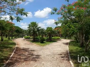 NEX-288050 - Terreno en Venta en San Diego, CP 97406, Yucatán.
