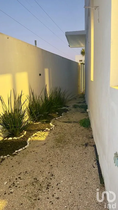 Departamento en Renta en Santa Gertrudis Copo, Mérida, Yucatán | NEX-293076 | iad México | Foto 13 de 14