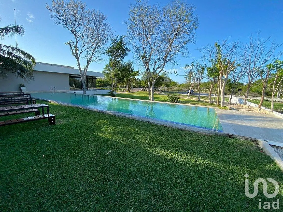 Terreno en Venta en Dzibilchaltún, Mérida, Yucatán | NEX-293089 | iad México | Foto 12 de 15