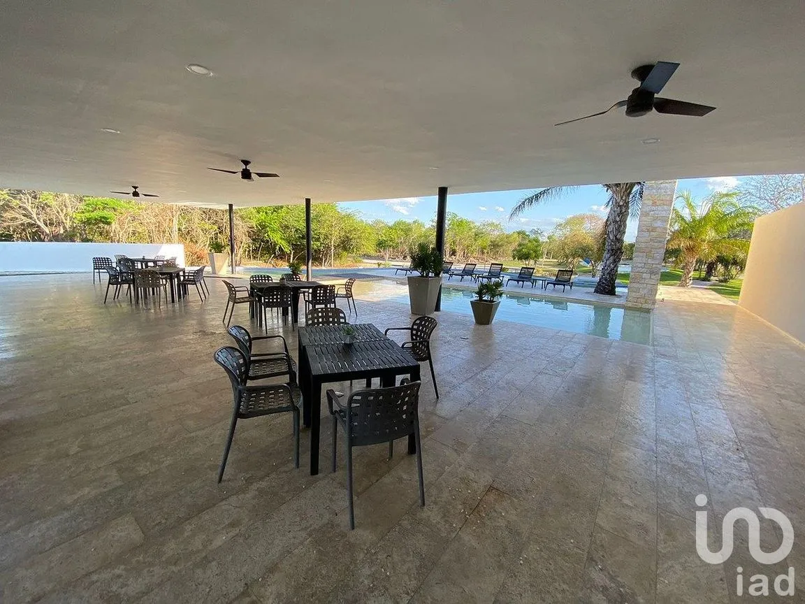 Terreno en Venta en Dzibilchaltún, Mérida, Yucatán | NEX-293089 | iad México | Foto 4 de 15