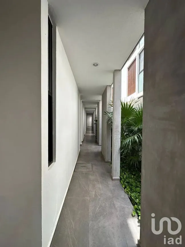Departamento en Renta en Santa Gertrudis Copo, Mérida, Yucatán | NEX-293135 | iad México | Foto 17 de 17