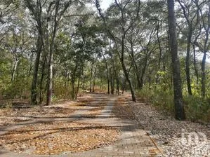 NEX-277835 - Terreno en Venta en Teuchitlán, CP 46760, Jalisco.