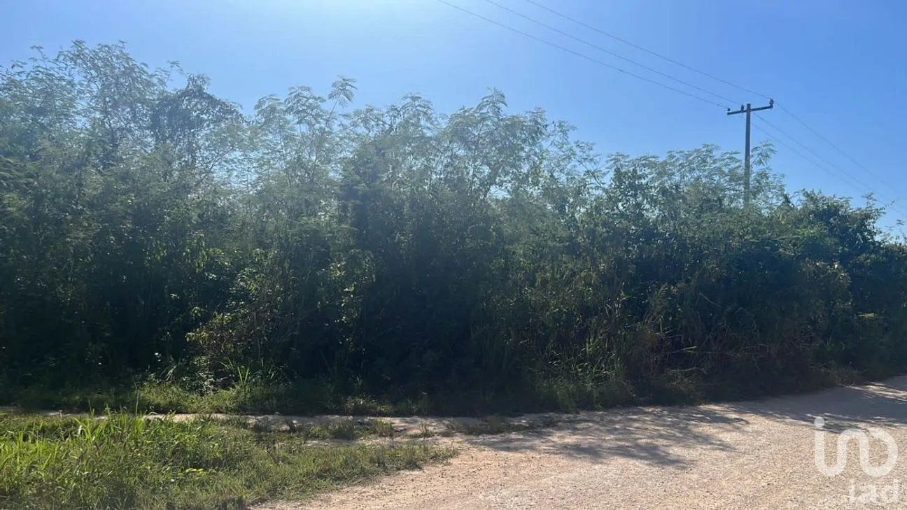 Terreno en Venta en Teya, Kanasín, Yucatán | NEX-227959 | iad México | Foto 7 de 7