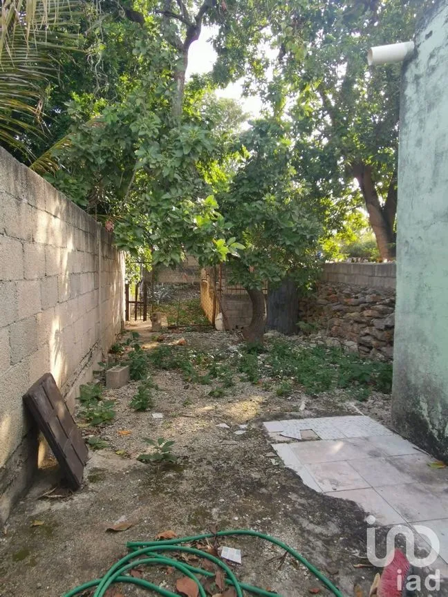 Casa en Venta en Mercedes Barrera, Mérida, Yucatán | NEX-231876 | iad México | Foto 13 de 13