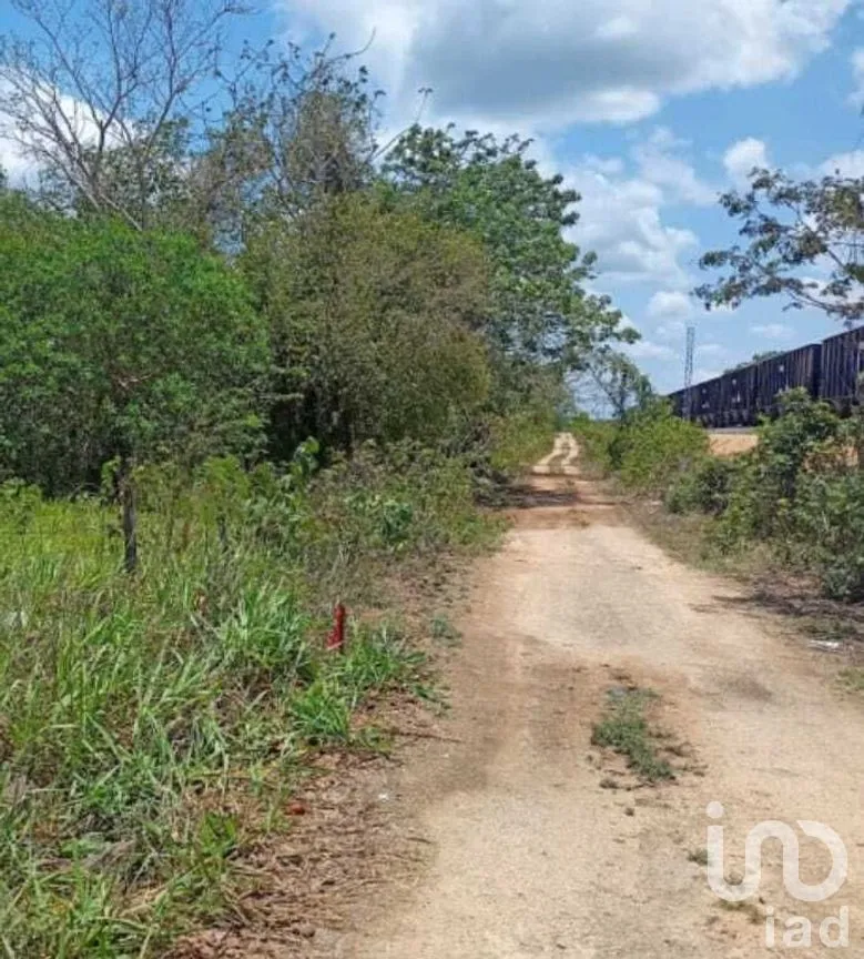 Terreno en Venta en Chemax, Chemax, Yucatán | NEX-269965 | iad México | Foto 2 de 3