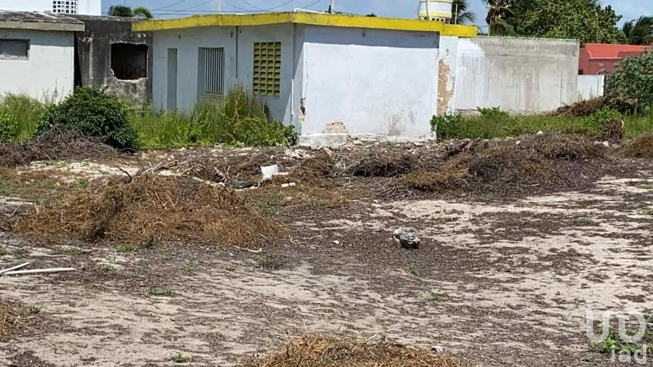 Terreno en Venta en Chuburna Puerto, Progreso, Yucatán | NEX-272132 | iad México | Foto 4 de 5
