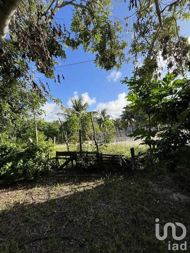 Casa en Venta en Chuburna Puerto, Progreso, Yucatán | NEX-274429 | iad México | Foto 26 de 27