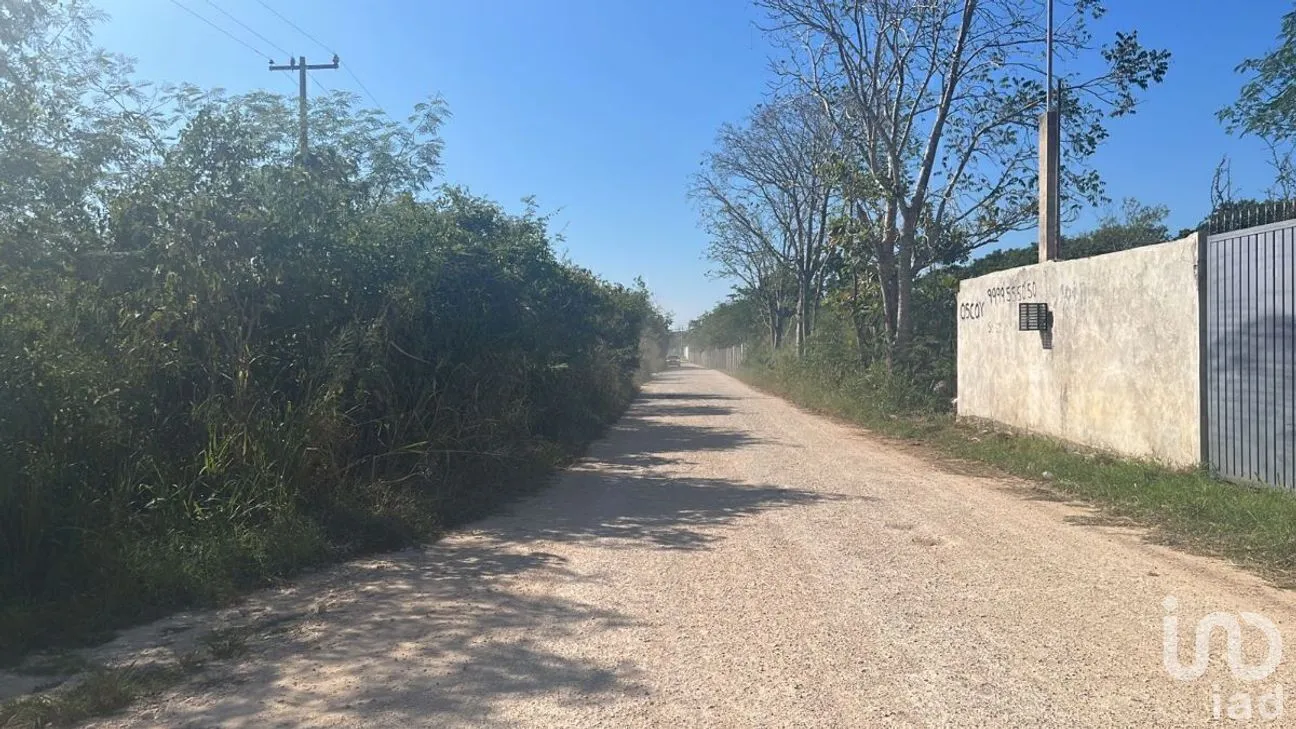 Terreno en Venta en Teya, Kanasín, Yucatán | NEX-284226 | iad México | Foto 6 de 7